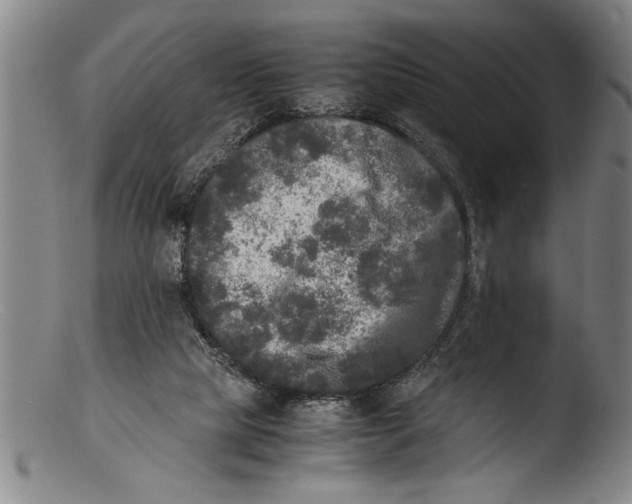 X0000103310065200809261346