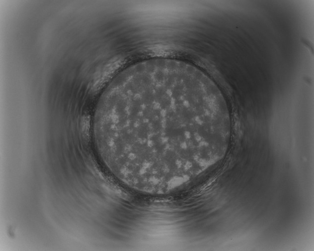 X0000103310066200809261346