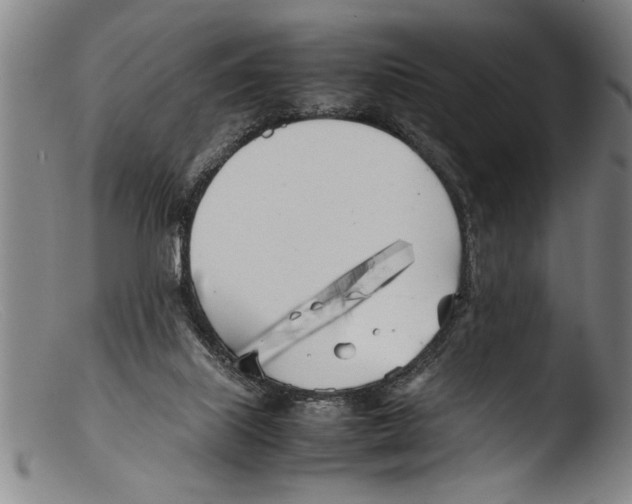 X0000103310067200809261346