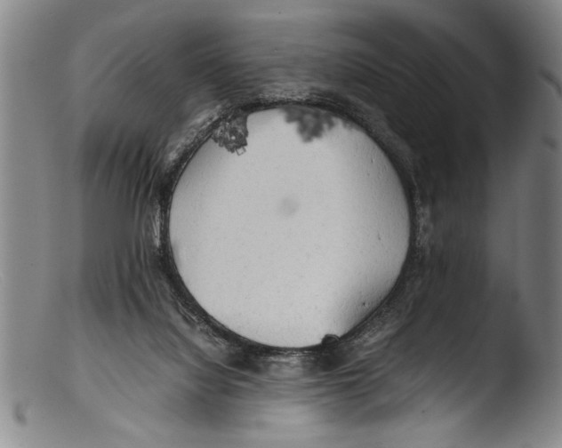X0000103310068200809261346