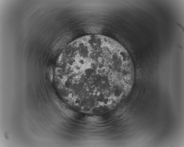 X0000103310069200809261346