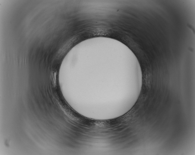 X0000103310070200809261346