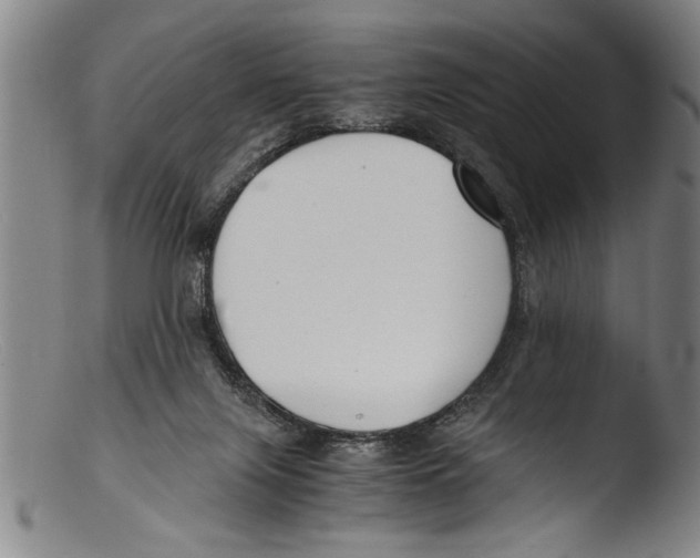 X0000103310071200809261346