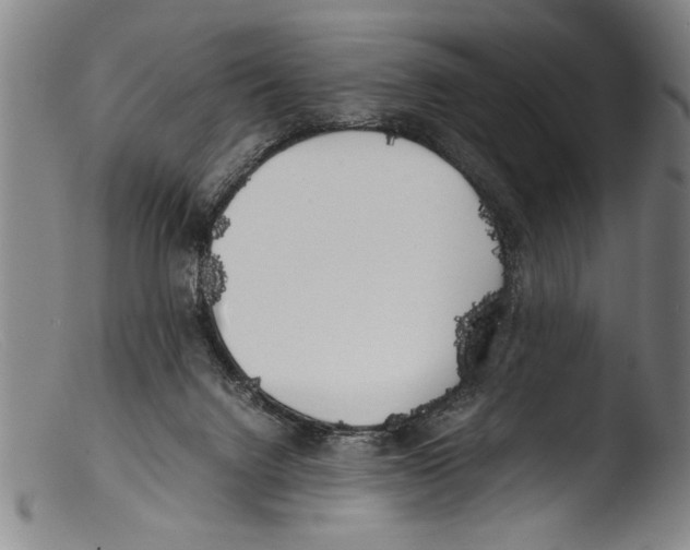 X0000103310072200809261346