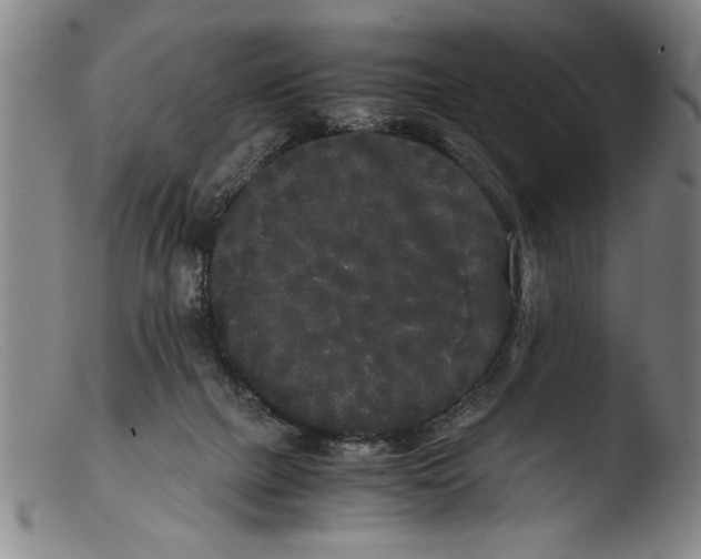 X0000103310073200809261346