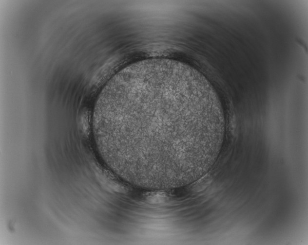 X0000103310074200809261346