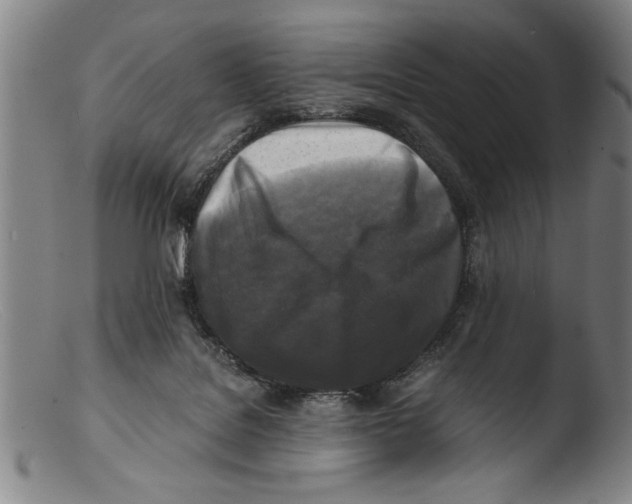 X0000103310076200809261346