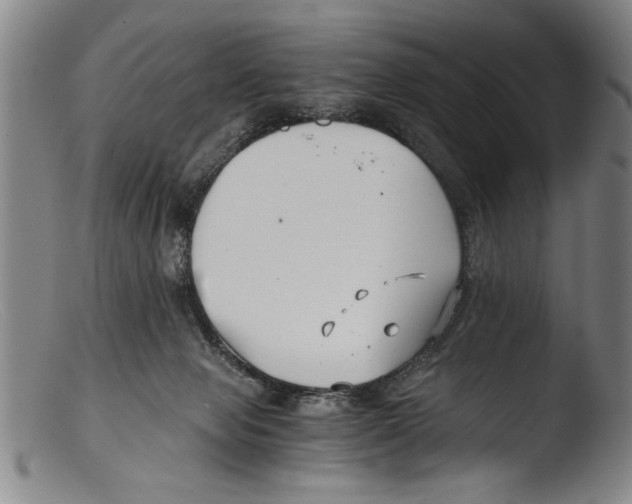 X0000103310077200809261346