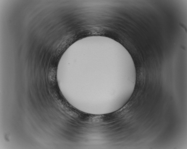 X0000103310078200809261346