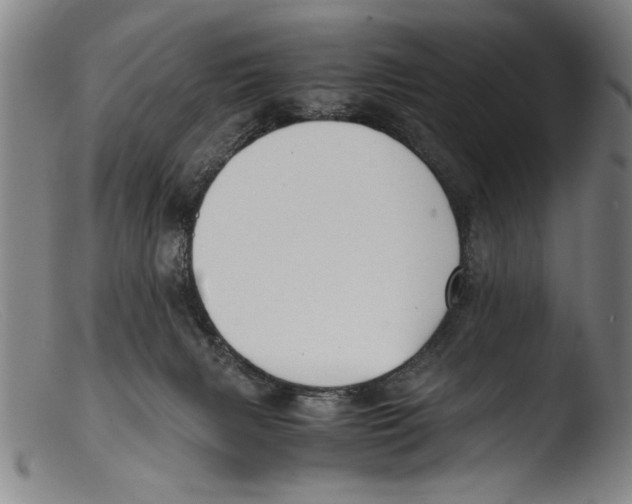 X0000103310079200809261346