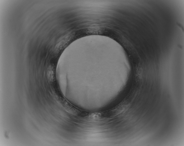 X0000103310080200809261346