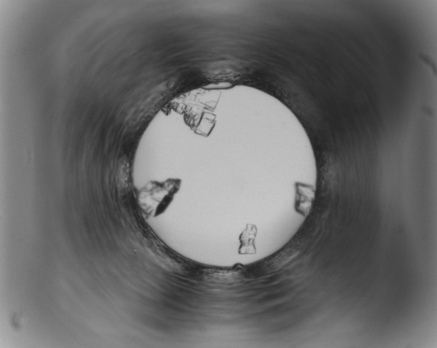 X0000103310081200809261346
