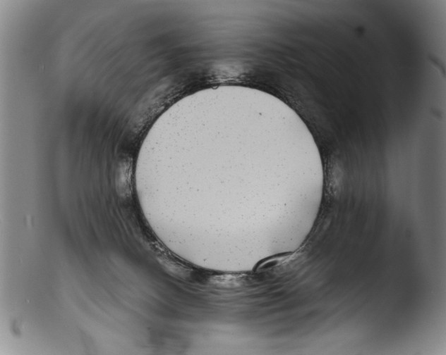 X0000103310082200809261346