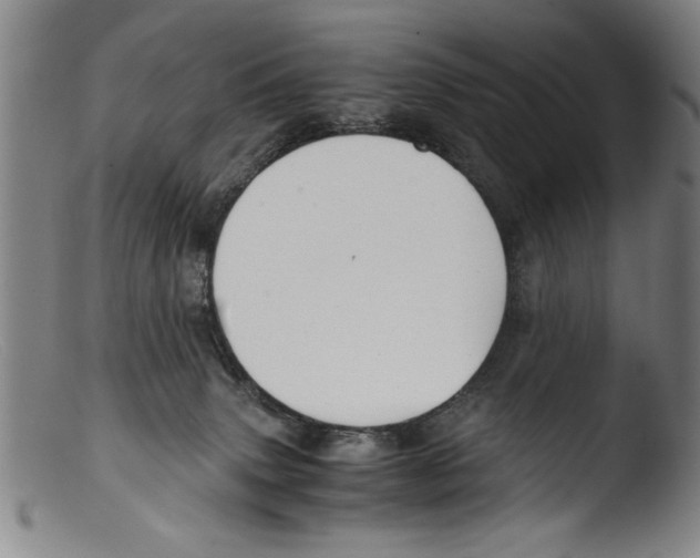 X0000103310083200809261346