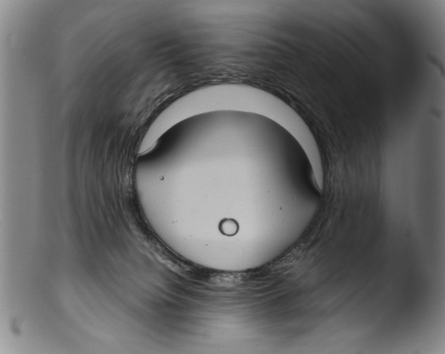 X0000103310084200809261346