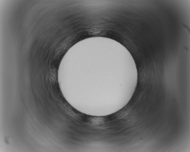 X0000103310085200809261347