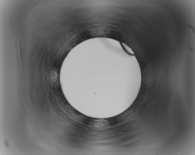 X0000103310087200809261347