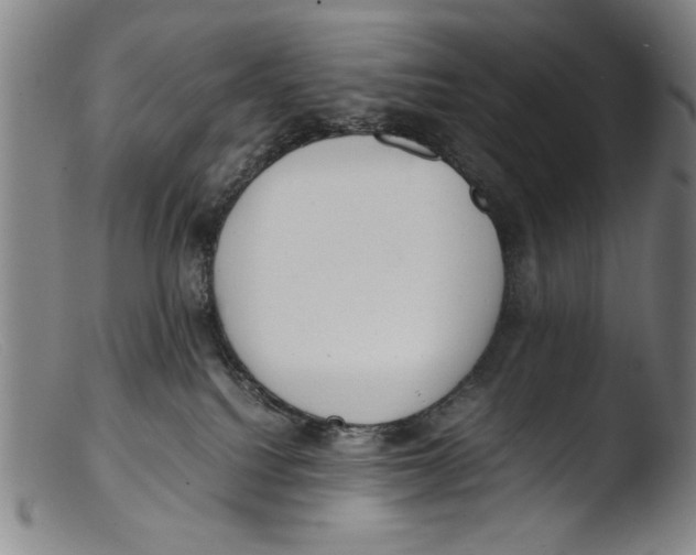 X0000103310088200809261347