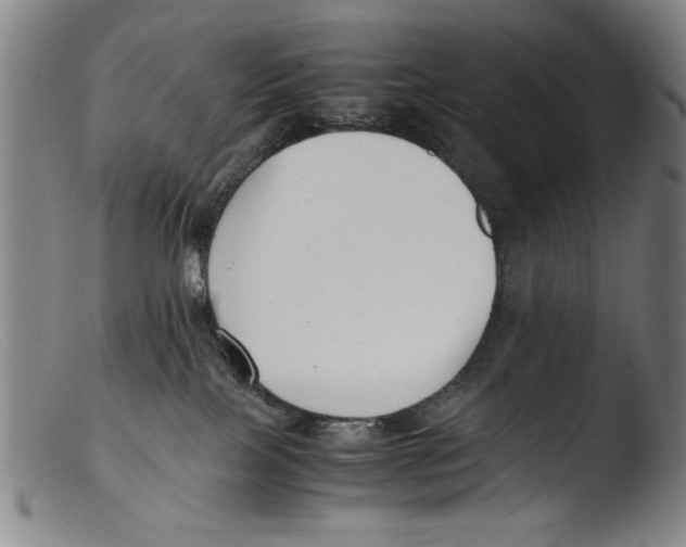 X0000103310089200809261347