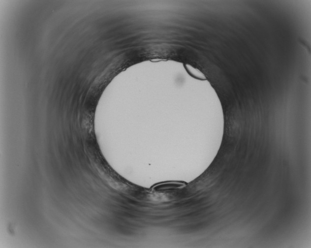 X0000103310091200809261347