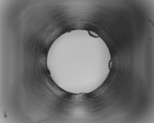 X0000103310092200809261347