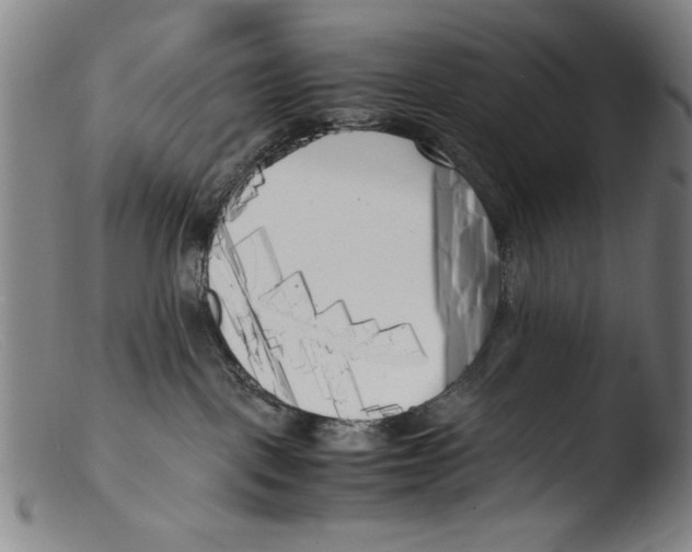 X0000103310093200809261347