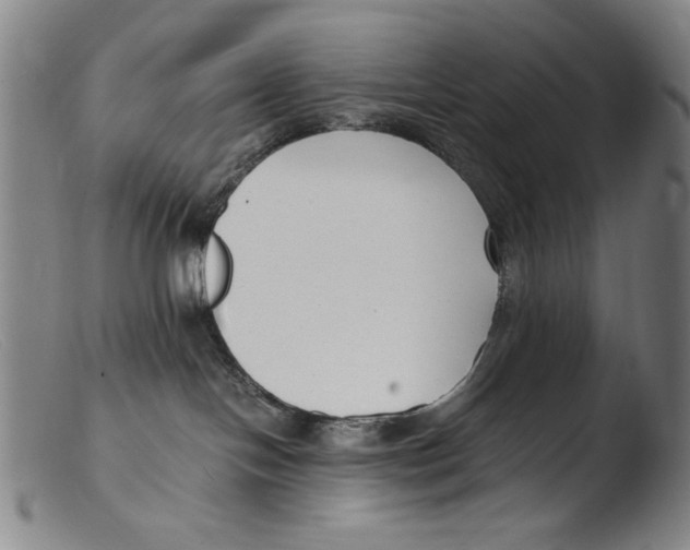 X0000103310094200809261347