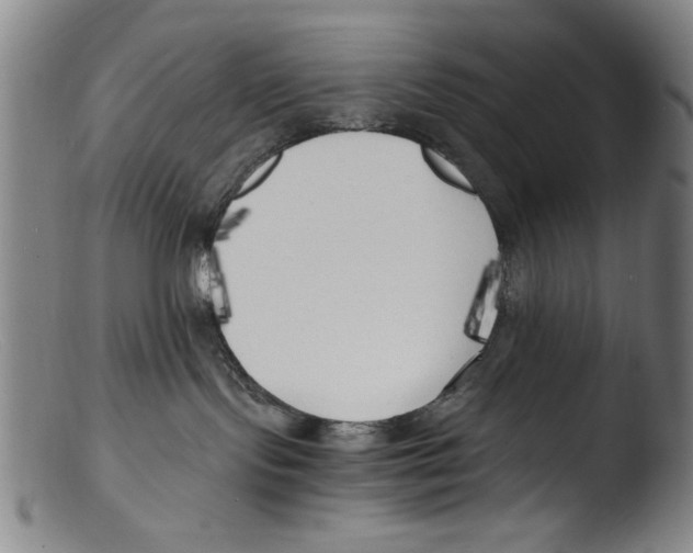 X0000103310095200809261347