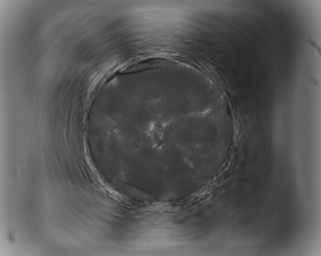 X0000103310097200809261346