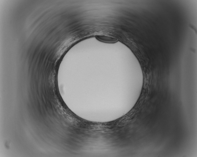 X0000103310098200809261346