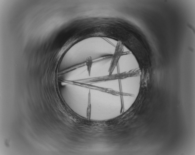 X0000103310099200809261346