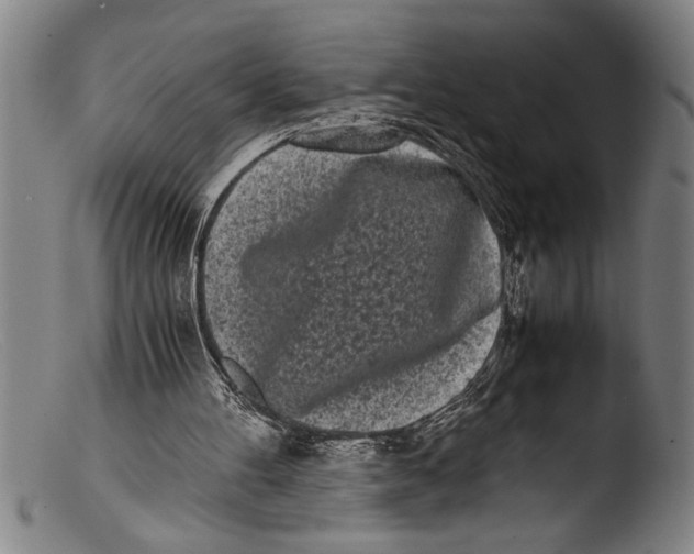 X0000103310100200809261346