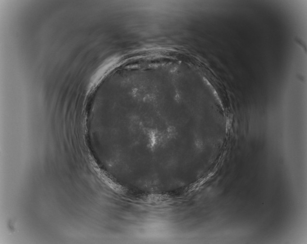 X0000103310101200809261346