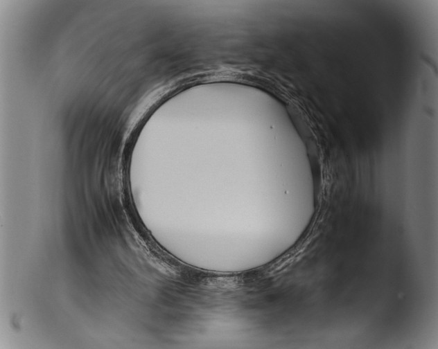 X0000103310102200809261346