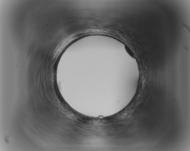 X0000103310103200809261346