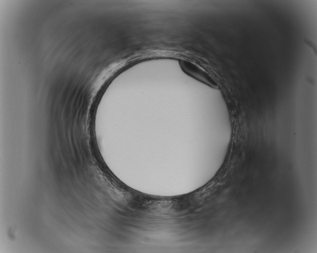 X0000103310104200809261346