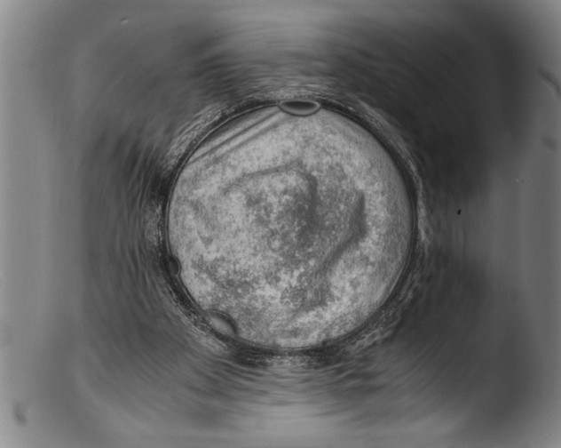 X0000103310105200809261346