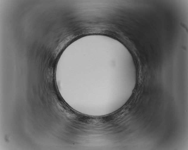 X0000103310107200809261346