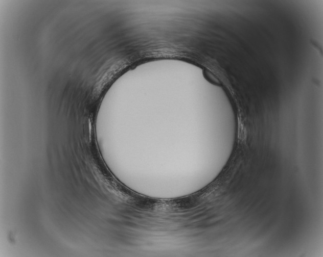 X0000103310109200809261346