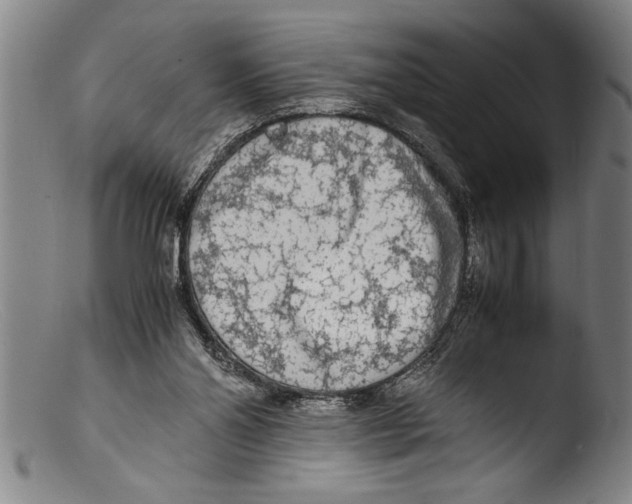 X0000103310110200809261346