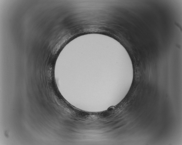 X0000103310111200809261346