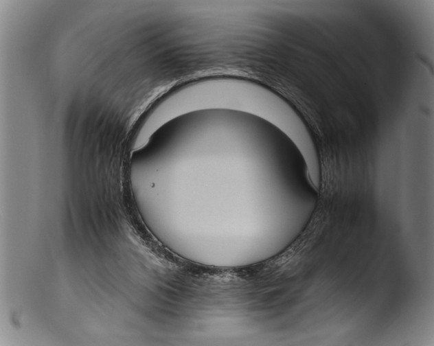 X0000103310112200809261346