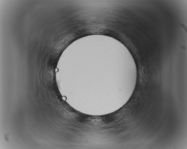 X0000103310113200809261346