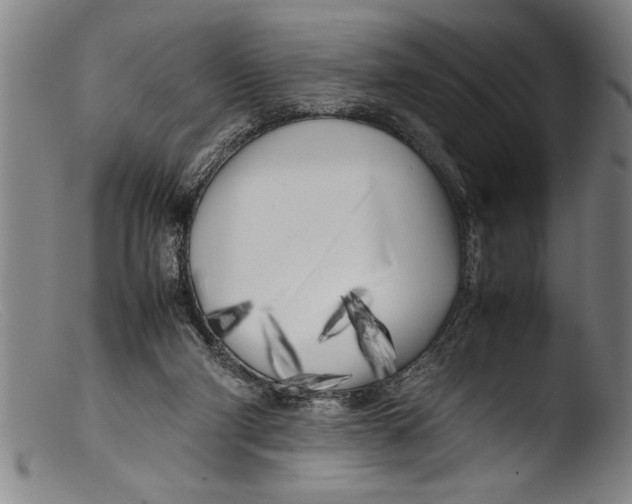 X0000103310114200809261346