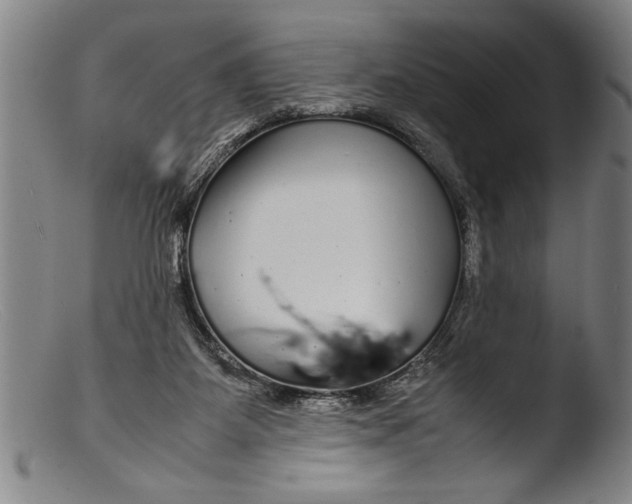 X0000103310115200809261346