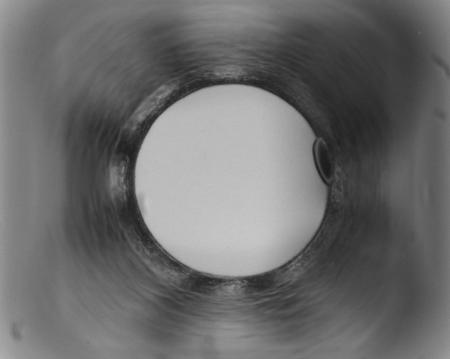 X0000103310116200809261346