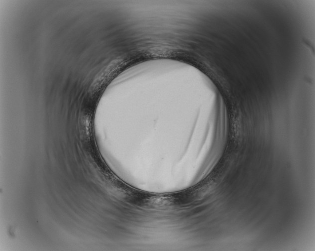 X0000103310117200809261346