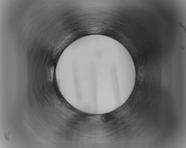 X0000103310118200809261346