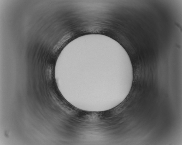 X0000103310120200809261346