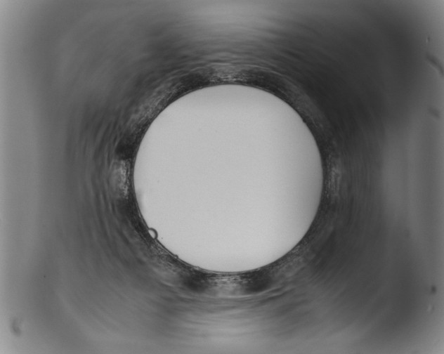 X0000103310121200809261346